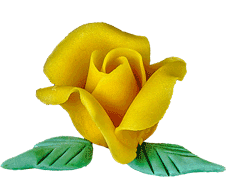 Rose gelb
