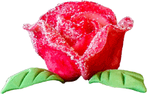Rose rot