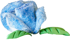 Rose blau